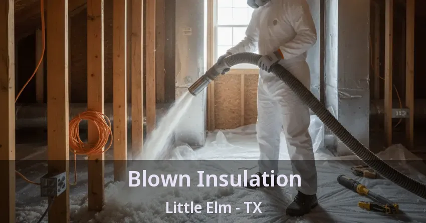 Blown Insulation Little Elm - TX Blown Insulation Little Elm - TX