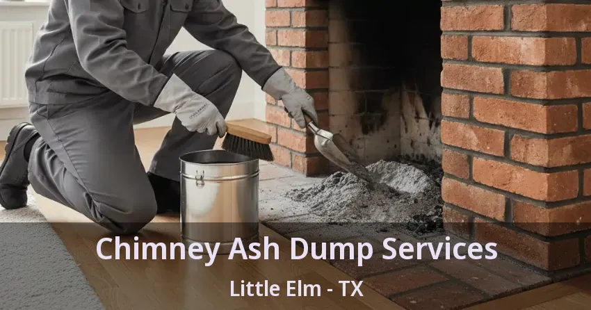 Chimney Ash Dump Services Little Elm - TX