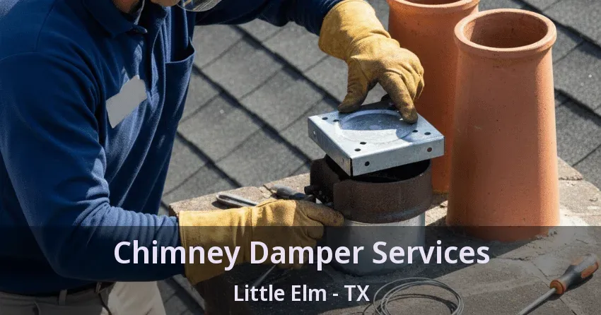 Chimney Damper Services Little Elm - TX
