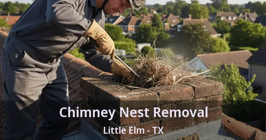 Chimney Nest Removal Little Elm - TX