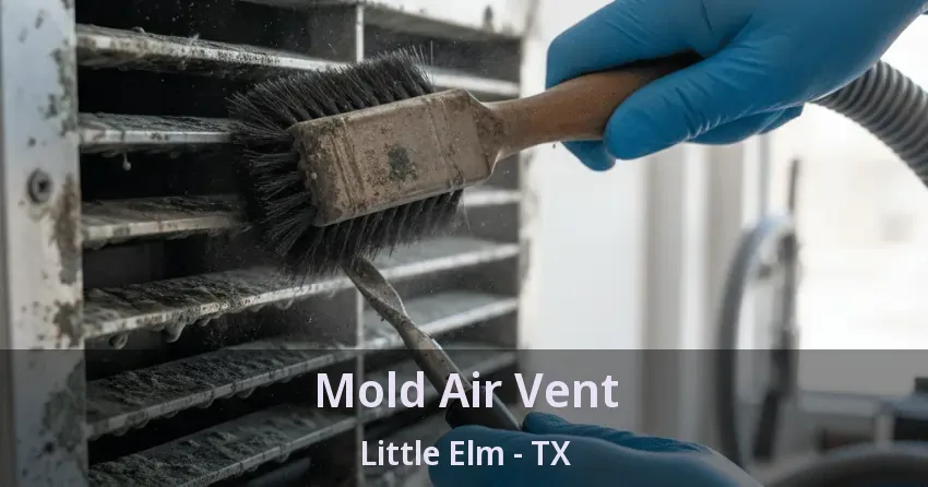 Mold Air Vent Little Elm - TX