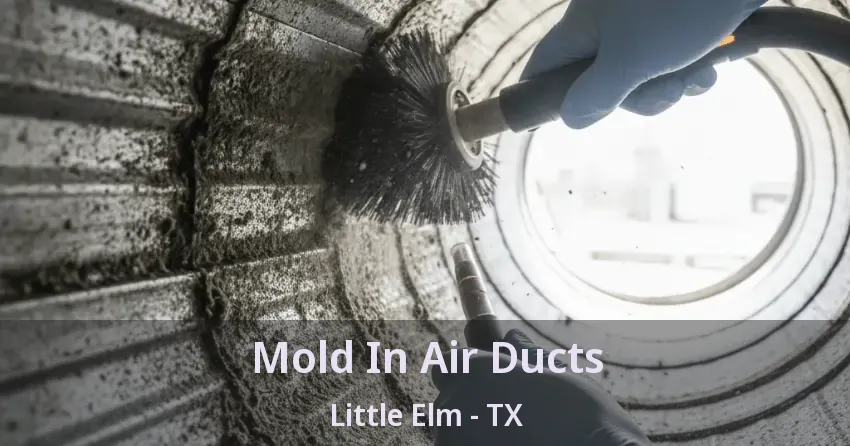 Mold In Air Ducts Little Elm - TX Mold In Air Ducts Little Elm - TX
