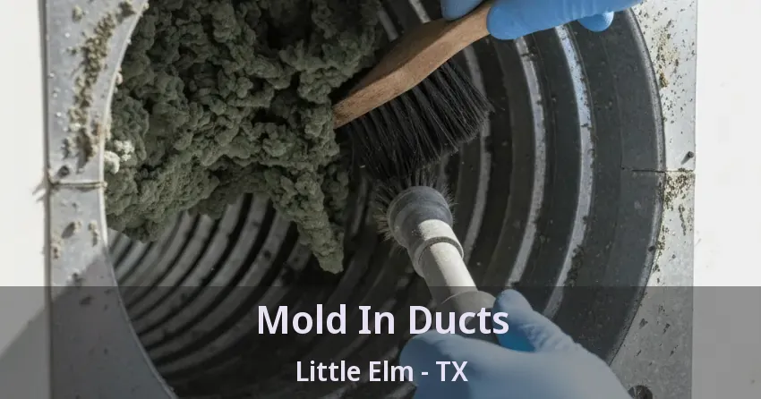 Mold In Ducts Little Elm - TX
