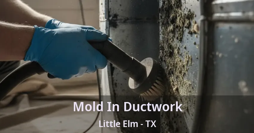 Mold In Ductwork Little Elm - TX
