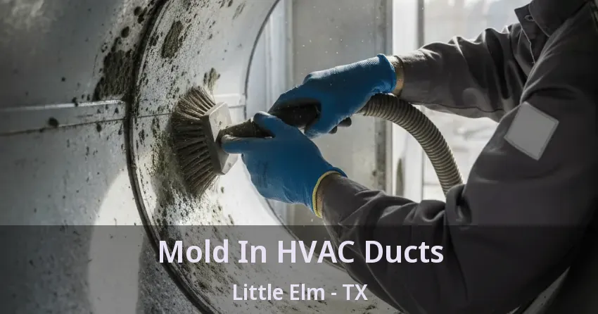 Mold In HVAC Ducts Little Elm - TX