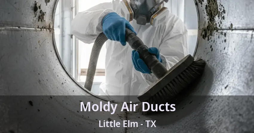 Moldy Air Ducts Little Elm - TX